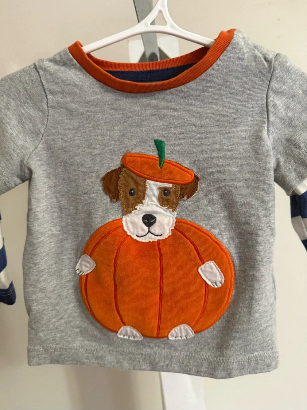 Baby Boden Dog in Pumpkin Appliqué Shirt